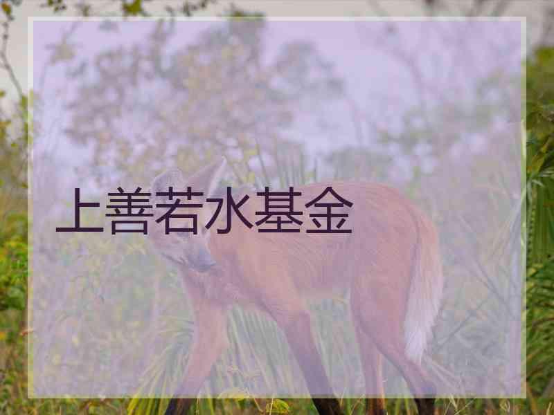 上善若水基金 上善若水基金