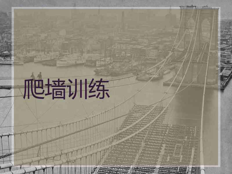 爬墙训练 爬墙训练