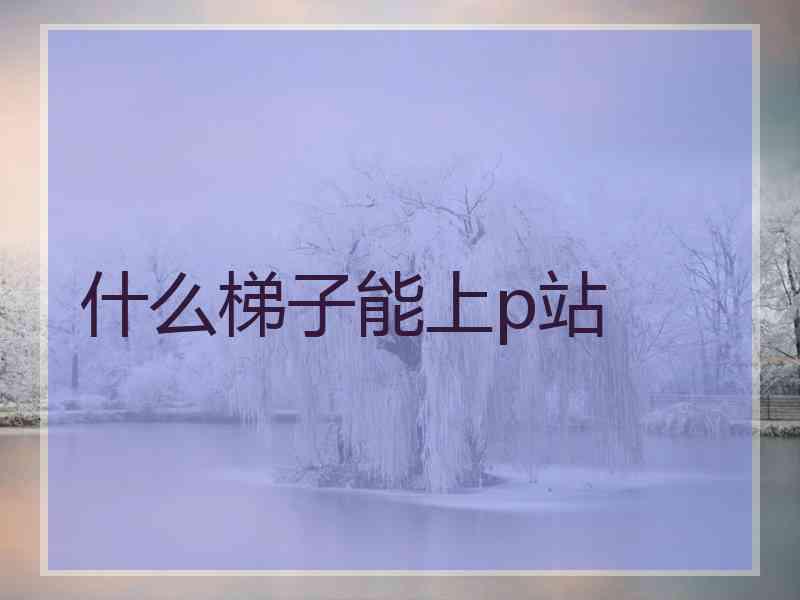 什么梯子能上p站 什么梯子能上p站