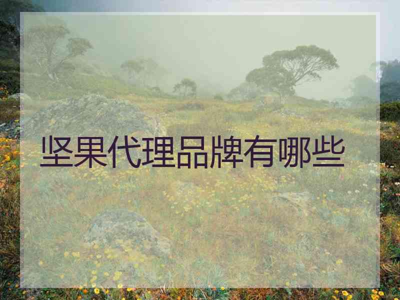 坚果代理品牌有哪些 坚果代理品牌有哪些