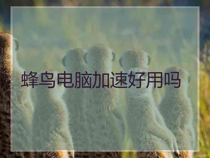 蜂鸟电脑加速好用吗 蜂鸟电脑加速好用吗