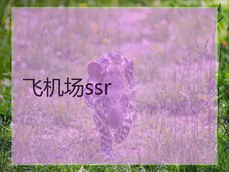 飞机场ssr 飞机场ssr