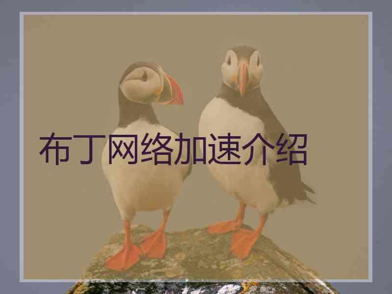 布丁网络加速介绍 布丁网络加速介绍