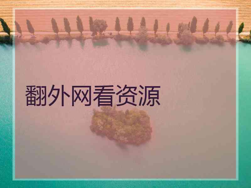 翻外网看资源 翻外网看资源