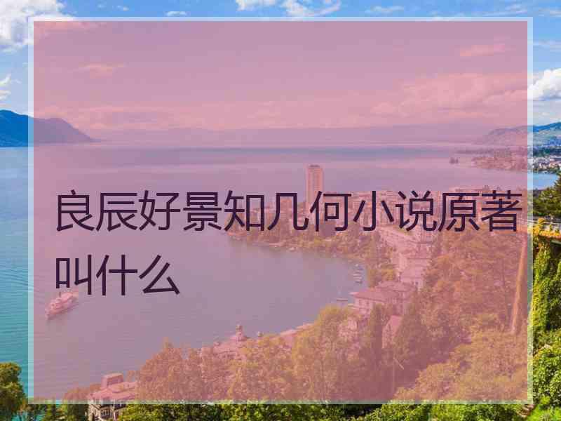 良辰好景知几何小说原著叫什么 良辰好景知几何小说原著叫什么