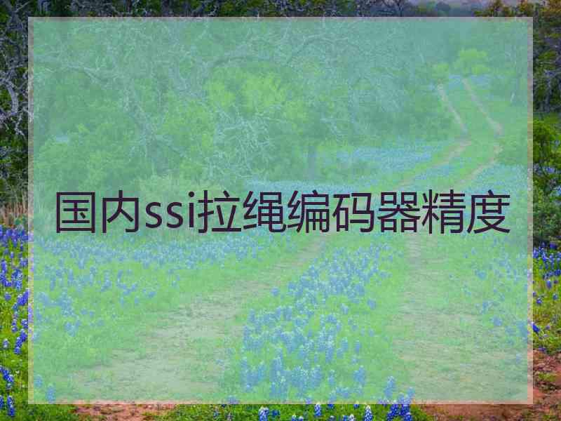 国内ssi拉绳编码器精度 国内ssi拉绳编码器精度