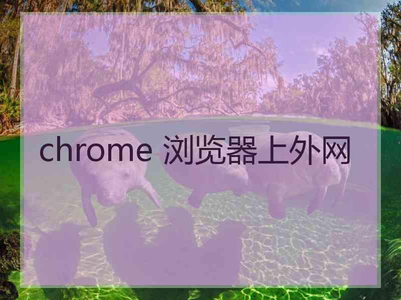 chrome 浏览器上外网 chrome 浏览器上外网