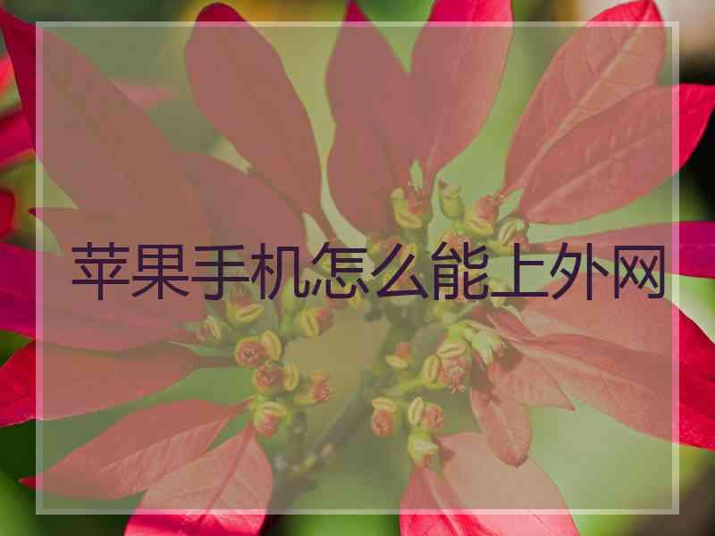 苹果手机怎么能上外网 苹果手机怎么能上外网