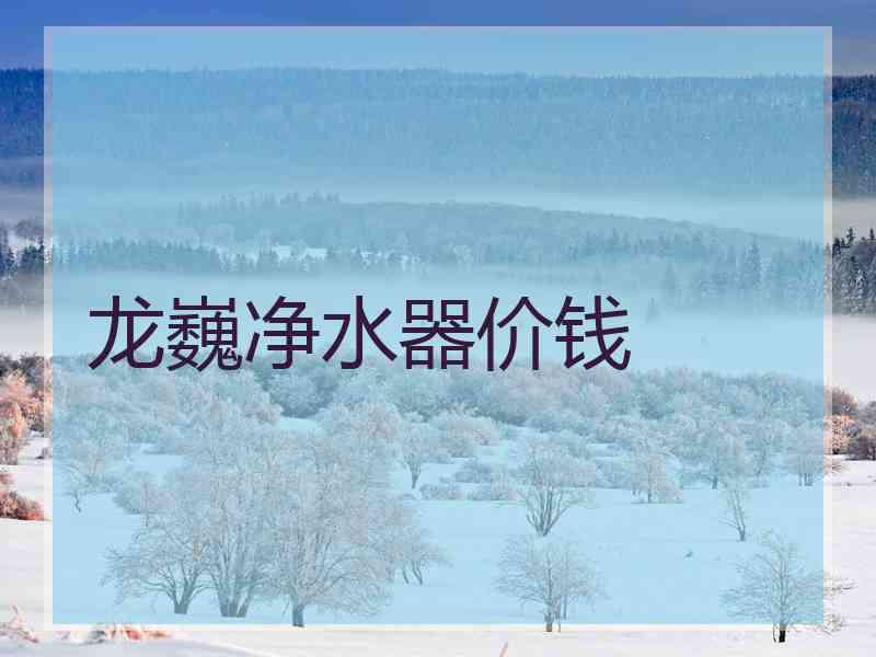 龙巍净水器价钱 龙巍净水器价钱