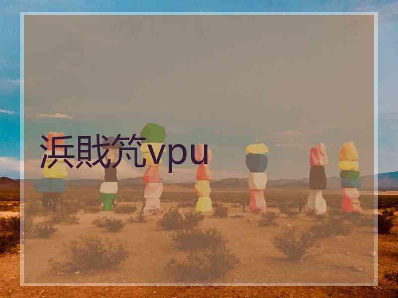 浜戝竼vpu 浜戝竼vpu