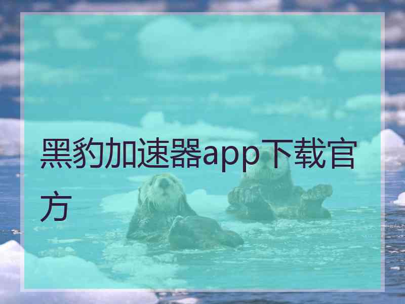 黑豹加速器app下载官方 黑豹加速器app下载官方