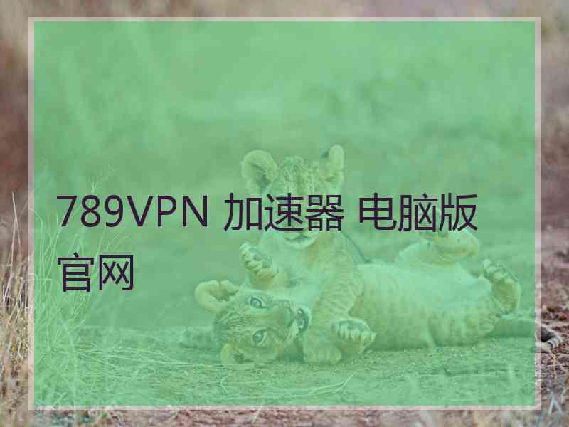 789VPN 加速器 电脑版 官网 789VPN 加速器 电脑版 官网