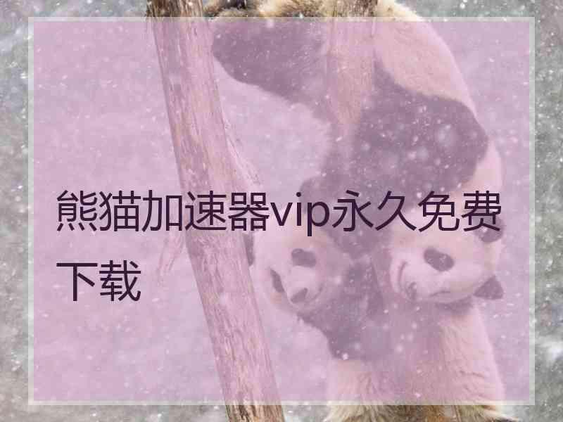 熊猫加速器vip永久免费下载