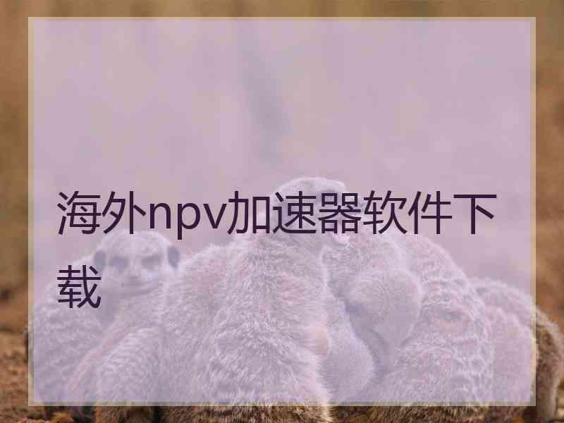 海外npv加速器软件下载 海外npv加速器软件下载