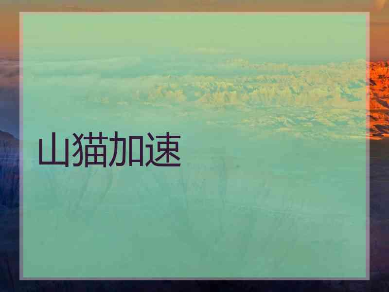 山猫加速 山猫加速