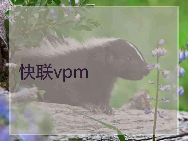 快联vpm 快联vpm