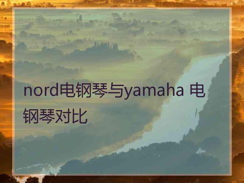 nord电钢琴与yamaha 电钢琴对比 nord电钢琴与yamaha 电钢琴对比