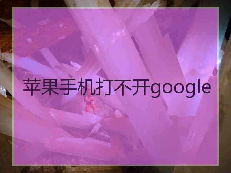 苹果手机打不开google 苹果手机打不开google