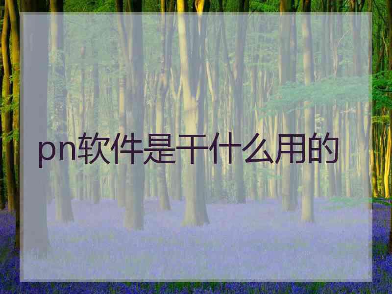 pn软件是干什么用的 pn软件是干什么用的
