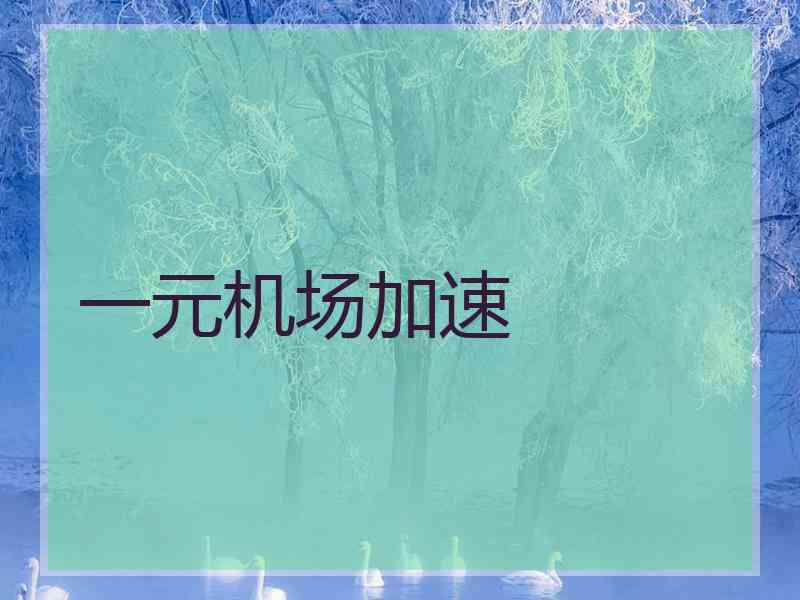 一元机场加速 一元机场加速
