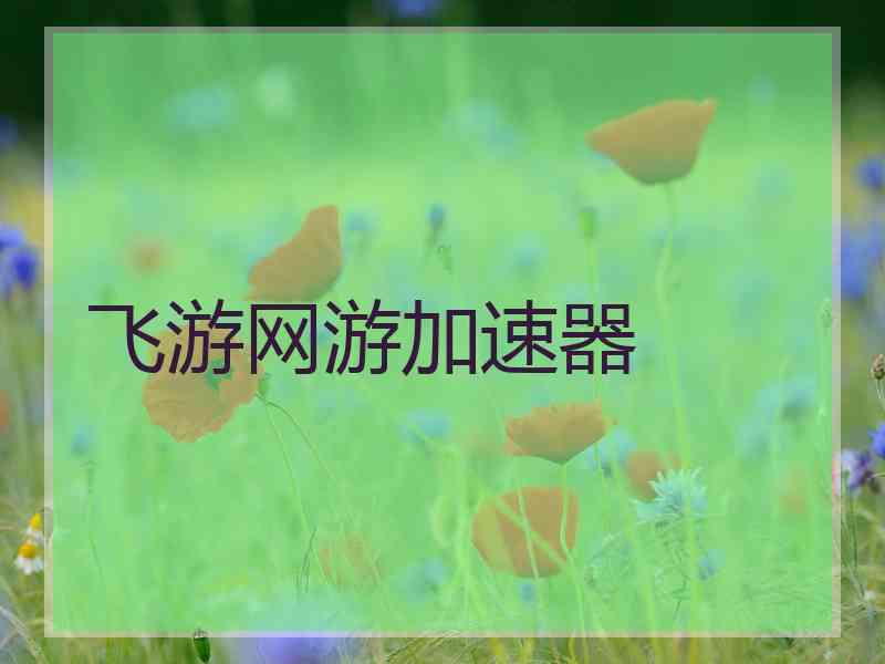 飞游网游加速器 飞游网游加速器
