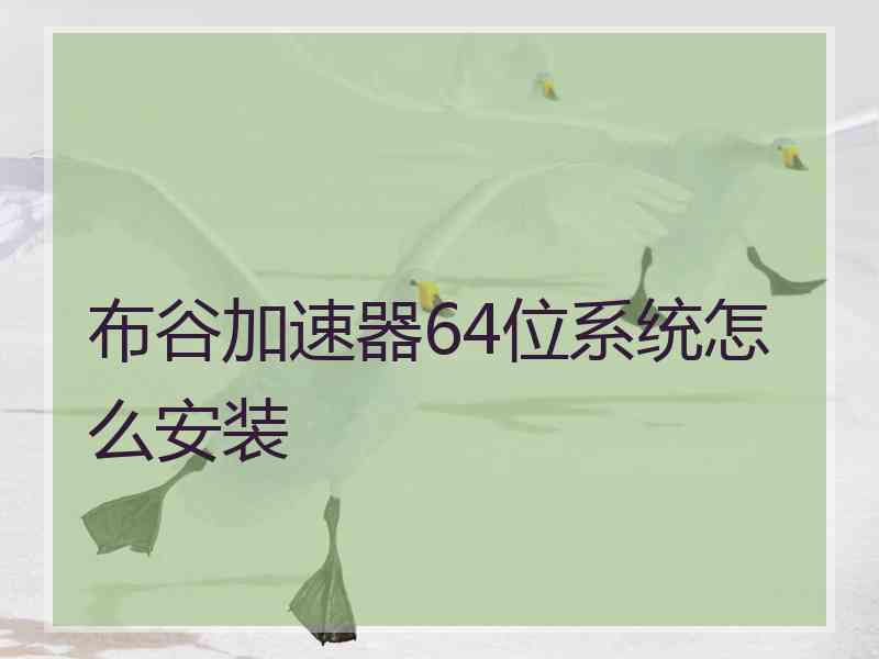 布谷加速器64位系统怎么安装 布谷加速器64位系统怎么安装