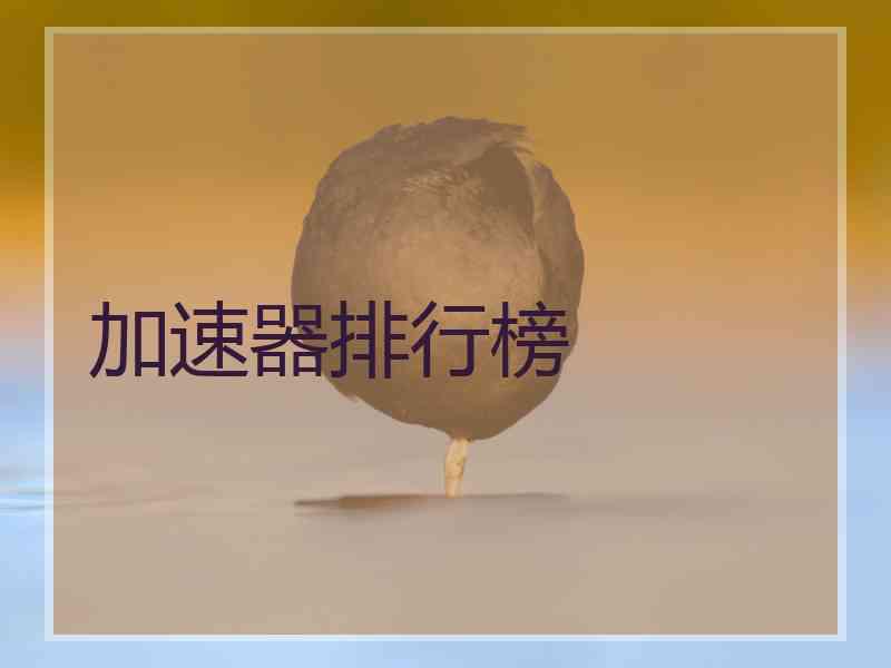 加速器排行榜 加速器排行榜