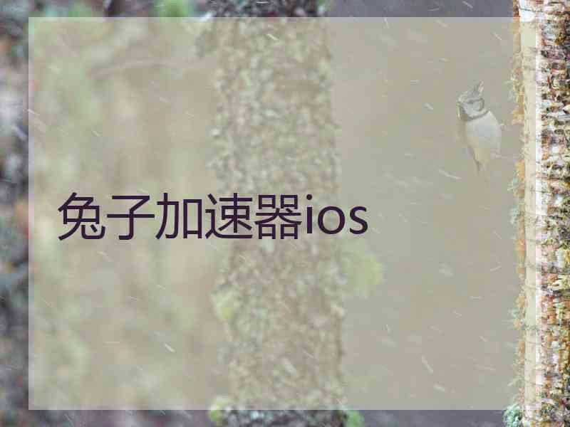 兔子加速器ios 兔子加速器ios