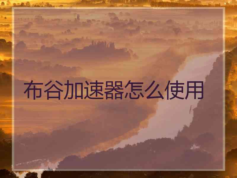 布谷加速器怎么使用 布谷加速器怎么使用