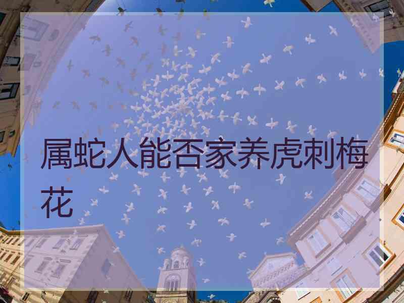 属蛇人能否家养虎刺梅花 属蛇人能否家养虎刺梅花