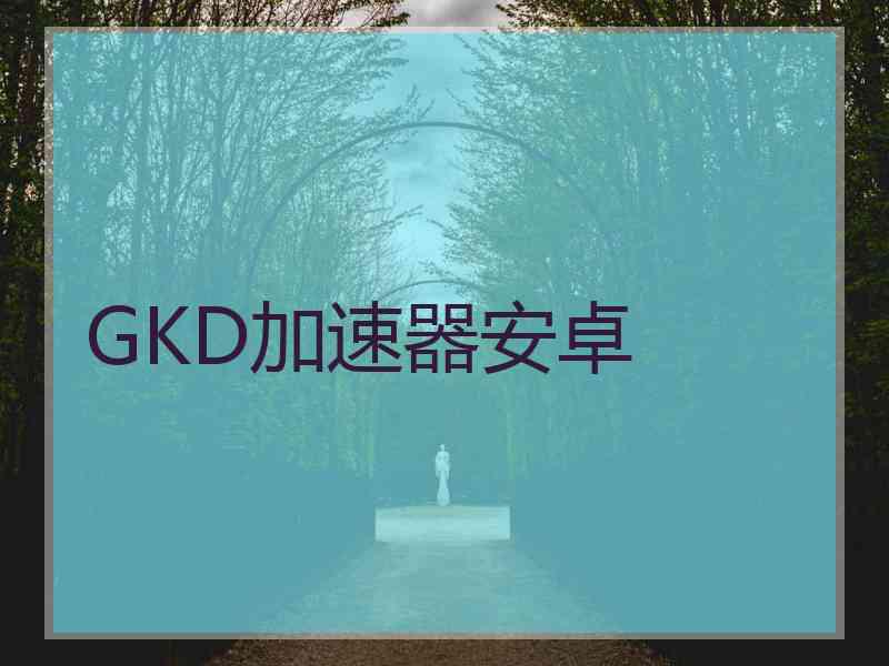 GKD加速器安卓