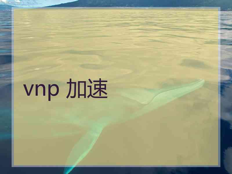 vnp 加速 vnp 加速