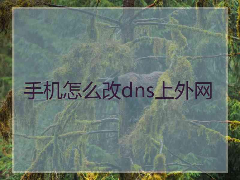 手机怎么改dns上外网 手机怎么改dns上外网