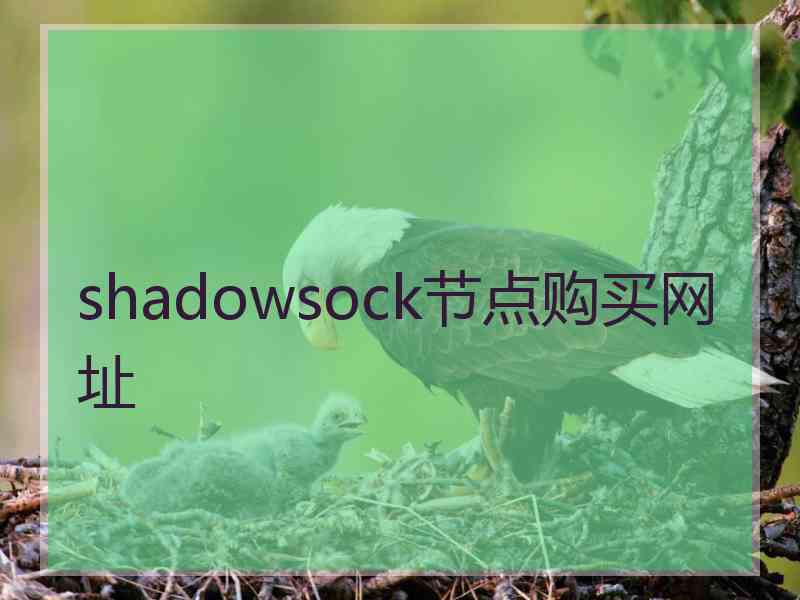 shadowsock节点购买网址