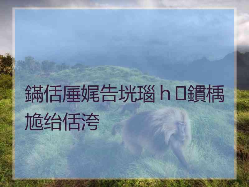 鏋佸厜娓告垙瑙h鏆楀尯绐佸洿 鏋佸厜娓告垙瑙h鏆楀尯绐佸洿