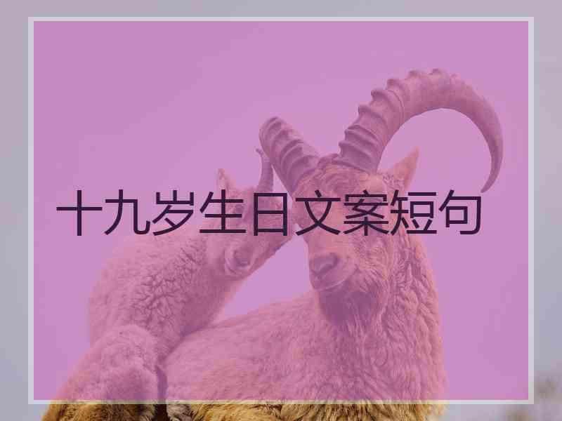 十九岁生日文案短句 十九岁生日文案短句