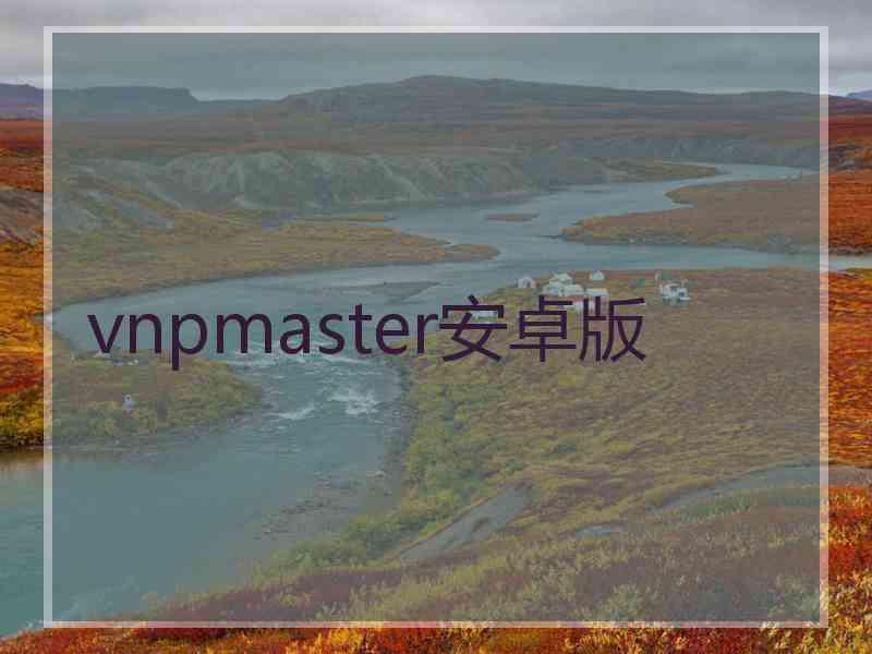 vnpmaster安卓版 vnpmaster安卓版