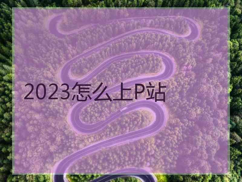 2023怎么上P站 2023怎么上P站
