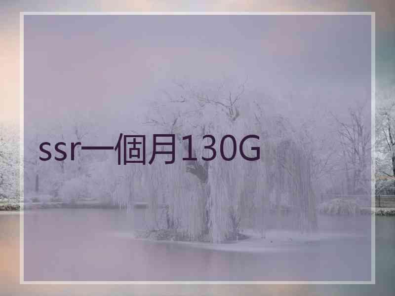 ssr一個月130G ssr一個月130G