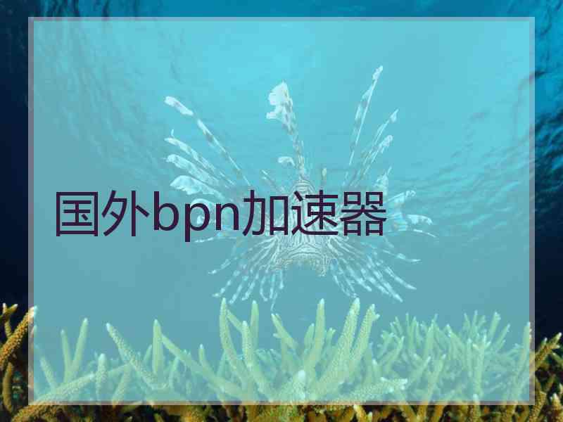 国外bpn加速器 国外bpn加速器