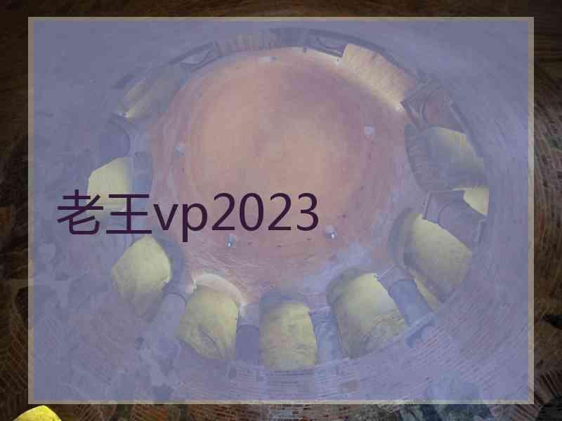 老王vp2023