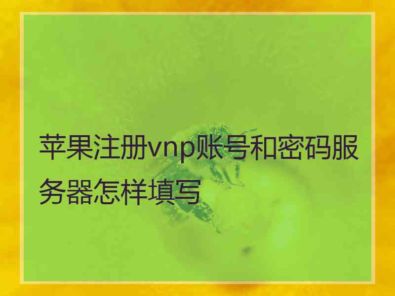 苹果注册vnp账号和密码服务器怎样填写 苹果注册vnp账号和密码服务器怎样填写