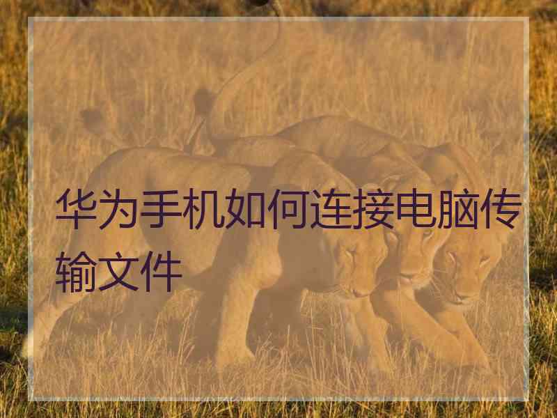 华为手机如何连接电脑传输文件 华为手机如何连接电脑传输文件