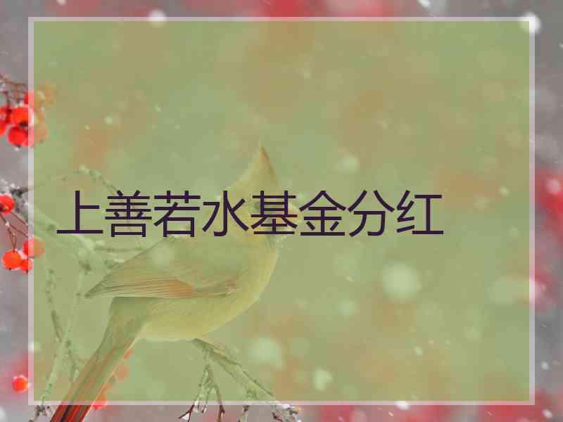 上善若水基金分红 上善若水基金分红