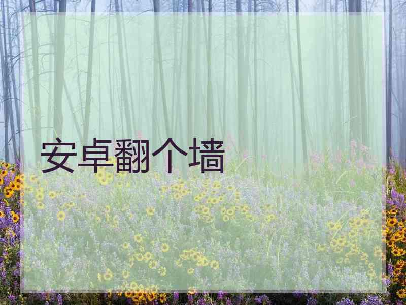 安卓翻个墙 安卓翻个墙