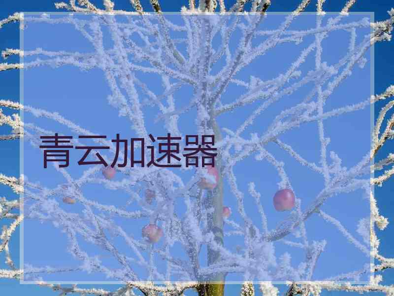 青云加速器 青云加速器