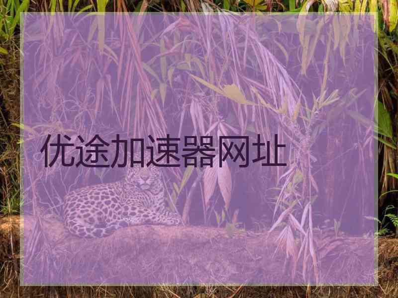 优途加速器网址 优途加速器网址