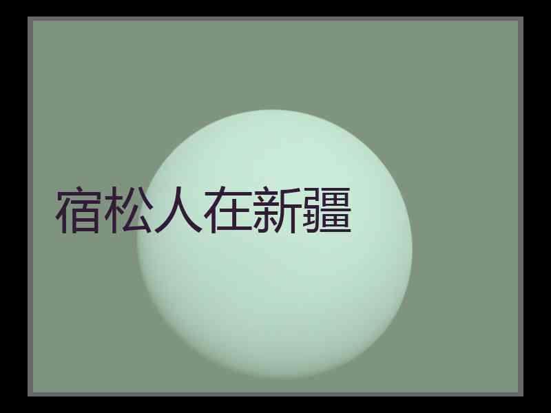 宿松人在新疆 宿松人在新疆