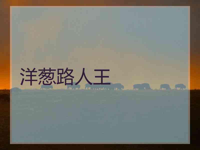 洋葱路人王 洋葱路人王