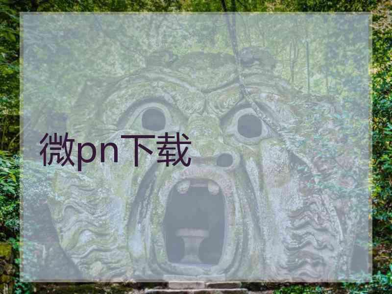 微pn下载 微pn下载